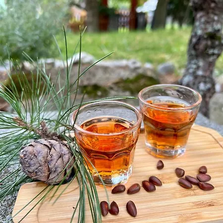 Chalupka U Lisky Elisky Holiday home Zdiar