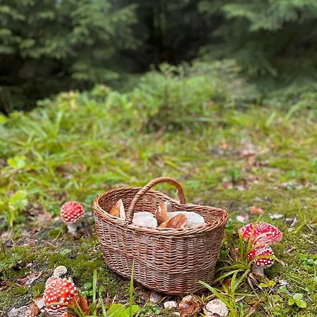 Сasa de vacaciones Chalúpka U Líšky Elišky Ždiar